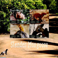 Liberia 2019 Slender Mongoose 4v M/s, Mint NH, Nature - Animals (others & Mixed) - Wild Mammals - Other & Unclassified