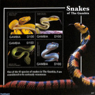 Gambia 2020 Snakes 4v M/s, Mint NH, Nature - Reptiles - Snakes - Gambia (...-1964)