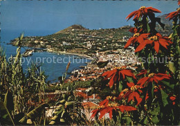 72444479 Funchal Panorama Kueste Blumen  - Altri & Non Classificati