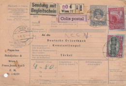 Paketkarte Mit Begleitschein, Colis Postal, Von Wien Nach Konstantinopel 1916 - Storia Postale