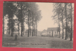 Audregnies - Place Du Jeu De Balle ( Voir Verso ) - Quiévrain