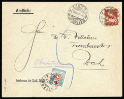 1919, Schweiz, P 38, Brief - Autres & Non Classés