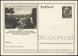 1934, Deutsches Reich, P 236 DP, Brief - Otros & Sin Clasificación