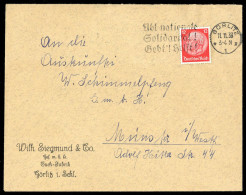 1933, Deutsches Reich, 487, Brief - Autres & Non Classés