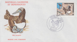 Enveloppe  FDC  1er Jour   NOUVELLE CALEDONIE    Oiseau  De  Mer   1976 - FDC