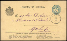1876, Rumänien, P 9, Brief - Sonstige & Ohne Zuordnung