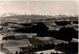 Aussicht Von Der "Lueg" Bei Affoltern Im Emmental * 11. 2. 1964 - Affoltern Im Emmental 