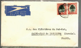 80413 -  Affranchissement  Paire De  TP  SOUTH/SUID... - Airmail