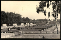 Fotografie Unbekannter Fotograf, Ansicht Berlin-Treptow, Sowjetisches Ehrenmal  - Guerre, Militaire