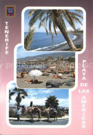 72442843 Playa De Las Americas Strand Kamelreiten Playa De Las Americas - Sonstige & Ohne Zuordnung