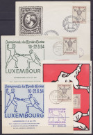 Luxembourg - Lot De 4 Documents Championnat Du Monde D'Escrime 1964 Càd LUXEMBOURG & LIMPERTSBERG - Brieven En Documenten