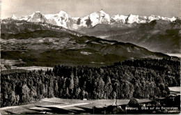 Belpberg - Blick Auf Die Berneralpen (11268) * 13. 8. 1952 - Belp