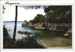 72438424 Paguera Mallorca Islas Baleares Cala Fornells Bucht Kueste  - Sonstige & Ohne Zuordnung