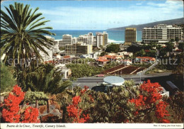 72438348 Puerto De La Cruz Panorama Hotels An Der Kueste Palmen  - Autres & Non Classés