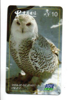 Hibou Chouette Owl Télécarte Chine Phonecard  (K 455) - China