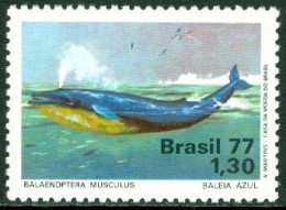 BRAZIL 1977 BLUE WHALE** - Marine Life