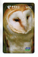 Hibou Chouette Owl Télécarte Chine Phonecard  (K 457) - China