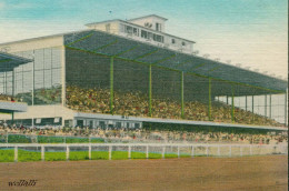 Superrar Stadium Club Haouse Grandstand Scarborough Downs 10.8.1954 - Estadios