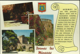 Bormes-les-Mimosas - Multivues - (P) - Bormes-les-Mimosas