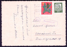 13b REICHENBACH über OBERSTDORF 1960 LANDPOSTSTEMPEL Blau 10Pf-Dürer > Oberursel Taunus - Covers & Documents