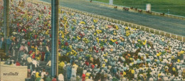 Superrar Stadium Nearing The Finish Monmouth Park Race Course Oceanport N.J. 13.9.1951 - Stadions