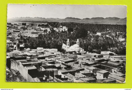 Algérie LAGHOUAT N°3 Vue Centrale Prise Du Marabout Sidi Abdelkader En 1956 - Laghouat