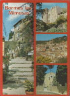 Bormes-les-Mimosas - Multivues  - Flamme  De Bormes-les-Mimosas 1988 - (P) - Bormes-les-Mimosas