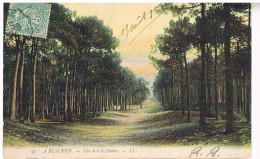 33 ARCACHON    VUE DANS LES DUNES  1905 - Arcachon