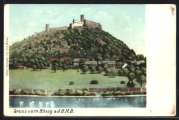 AK Bösig A. D. B. N. B., Panorama Mit Burg  - Tchéquie