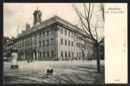 AK Heidelberg, Universität, Von Der Strasse Gesehen  - Heidelberg