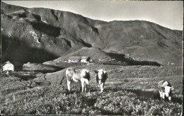 10552127 Zweisimmen Zweisimmen Alp Seeberg X 1967 Zweisimmen - Autres & Non Classés