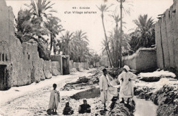 C P A  - AFR - ALGERIE  -    Entrée D'un Village  Saharien - Other & Unclassified