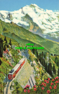 R615532 Schynige Platte Bahn Mit Jungfrau. No. 8007. H. Steinhauer. 1960 - Monde