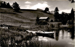 Der Egelsee Ob Diemtigen (18295) - Diemtigen