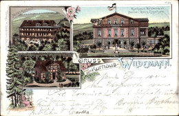 Lithographie Wildemann Clausthal Zellerfeld Im Oberharz, Kurhaus, Villa Marie - Altri & Non Classificati
