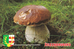 Boletus, Mushroom, Czech Rep., 2016, 90 X 60 Mm - Klein Formaat: 2001-...