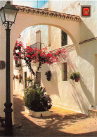 ESPAGNE - Cadiz - Vejer De La Fontera - Calle Tipica - Carte Postale - Cádiz