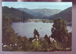 88 - GERARDMER - LE LAC VERS RAMBERCHAMP - 8531 - Gerardmer