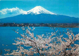 Japon - Mont Fuji - Mt Fuji And Cherry Blossoms - Nippon - Japan - CPM - Carte Neuve - Voir Scans Recto-Verso - Autres & Non Classés