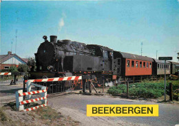 Trains - Trains - Beekbergen - Passage à Niveau - Pays Bas - Nederland - CPM - Voir Scans Recto-Verso - Trains