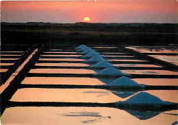 Metiers - Marais Salants - Saliculture - Saliculteurs - Sauniers - Paludiers - Coucher De Soleil Sur Les Marais Salants  - Autres & Non Classés