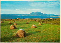 Irlande - Haycocks - Monts De Paille - Carte Neuve - Ireland - CPM - Voir Scans Recto-Verso - Autres