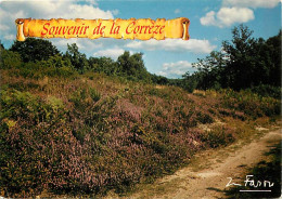 19 - Corrèze - Un Champ De Bruyères En Fleurs - CPM - Voir Scans Recto-Verso - Andere & Zonder Classificatie