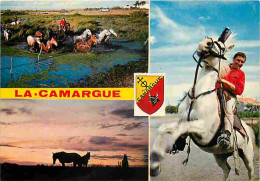 Animaux - Chevaux - Camargue - Multivues - Chevaux En Liberté - Gardian - CPM - Voir Scans Recto-Verso - Pferde