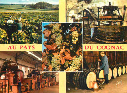 16 - Cognac - Au Pays Du Cognac - Multivues - CPM - Voir Scans Recto-Verso - Cognac