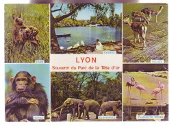 69 - LYON - MULTIVUES - SOUVENIR DU PARC DE LA TETE D''OR - 12472 - Andere & Zonder Classificatie