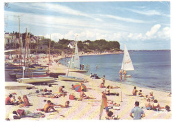 56 - SAINT-PIERRE-QUIBERON - LA PLAGE - ANIMÉE - 12191 - Quiberon