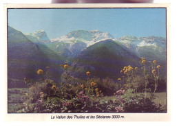 04 - LE VALLON DES THUILES ET LES SEOLANES - 11992 - Sonstige & Ohne Zuordnung