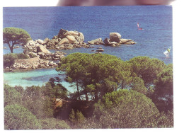 20 - PORTO-VECCHIO - PLAGE DE PALOMBAGGIA - 11944 - Other & Unclassified