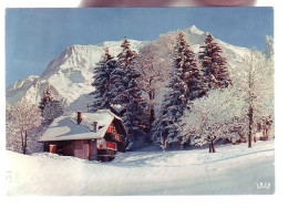 74 - AU PIED DU MONT-BLANC - LE CHALET DES NEIGES EN HIVER - 11726 - Chamonix-Mont-Blanc